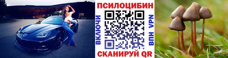 Псилоцибиновые грибы MAGIC MUSHROOMS Бодайбо